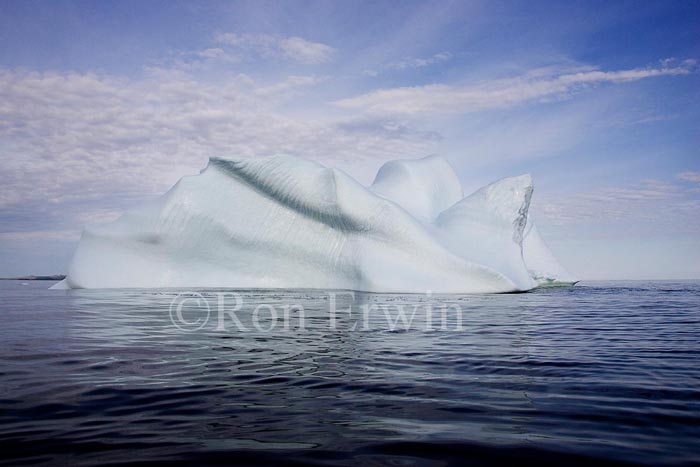 Labrador Iceberg