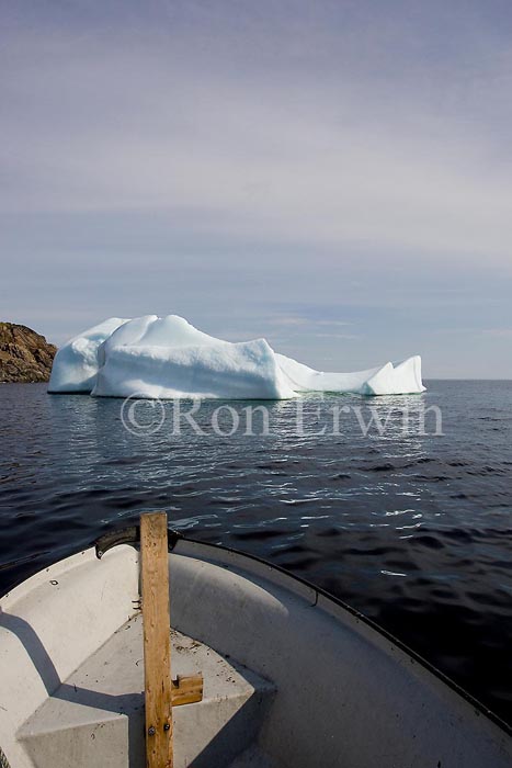 Iceberg