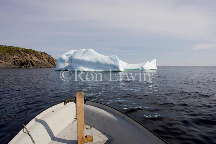 Iceberg