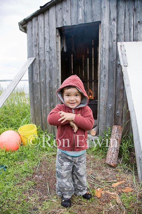 Labrador Metis Boy