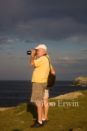 Bird Watching