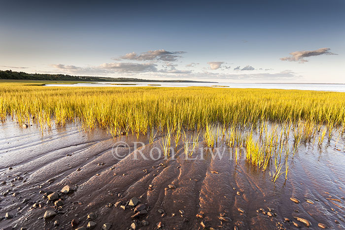 Fundy Mudflats, NB