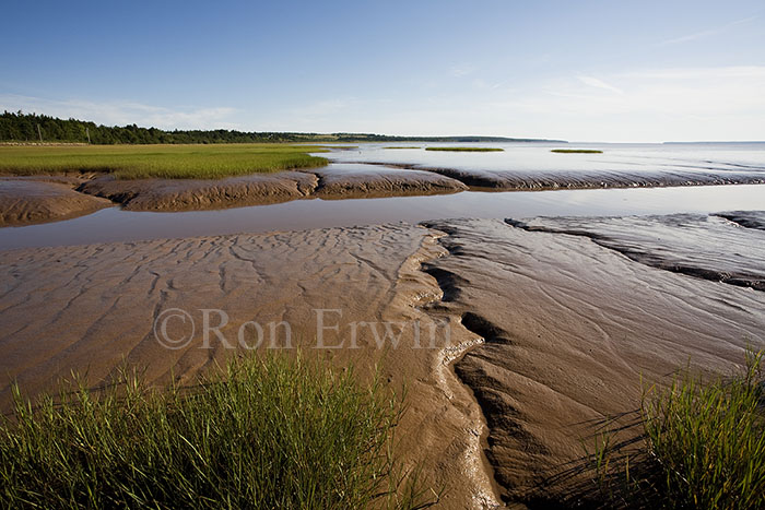 Fundy Mud, NB