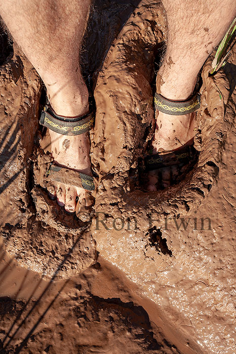 Fundy Mud, NB