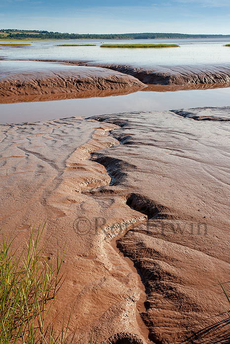 Fundy Mud, NB