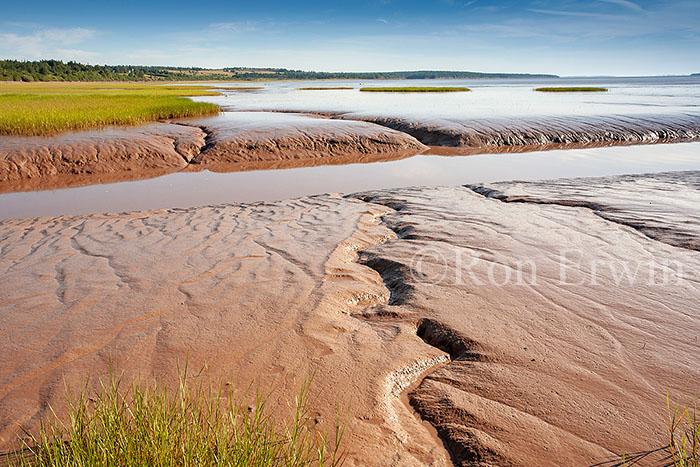 Fundy Mud, NB
