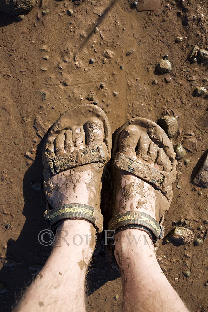 Fundy Mud, NB