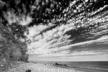 Bluffers Park