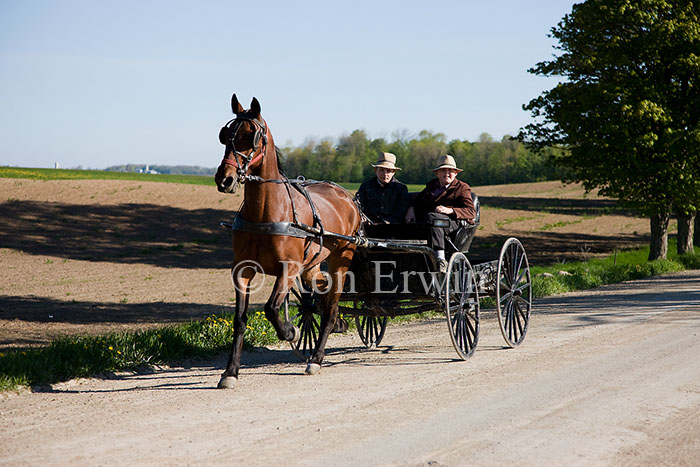 Mennonite Boys