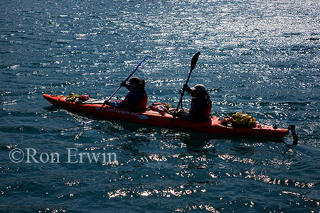 Kayakers