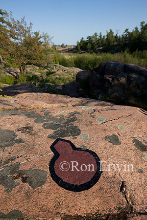 Trail Marker on Rock