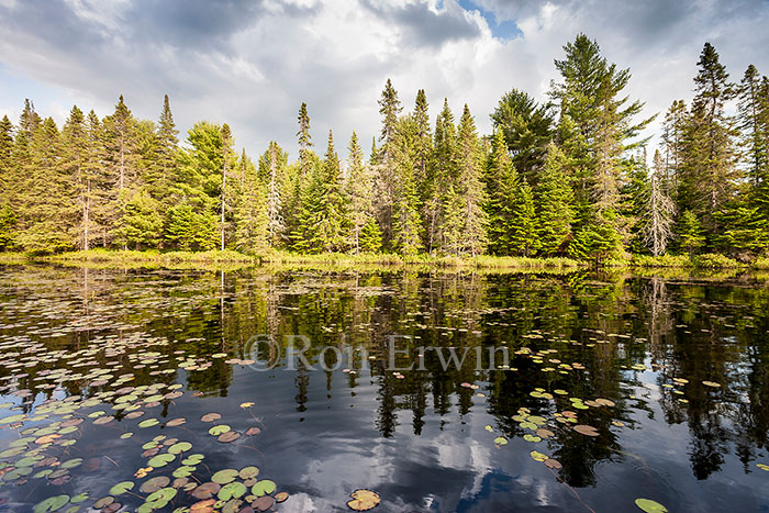 Hailstorm Creek, Algonquin, ON