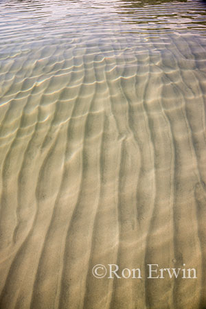 Rippled Sand
