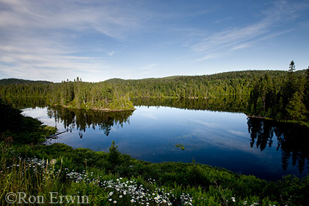 Lake Superior Provincial Park