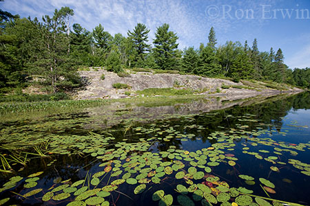 Murdock River
