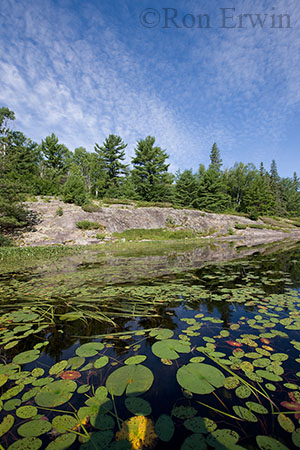 Murdock River