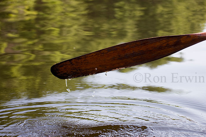 Paddling Dripping Water