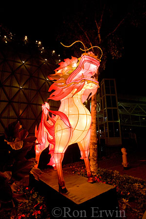 Qilin