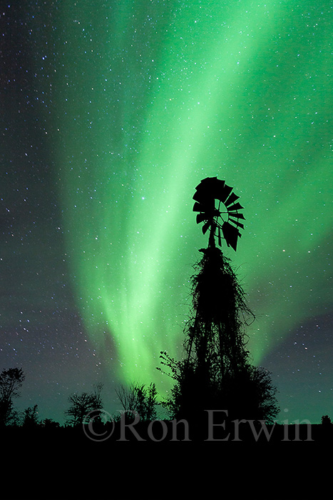 Northern Lights Composite