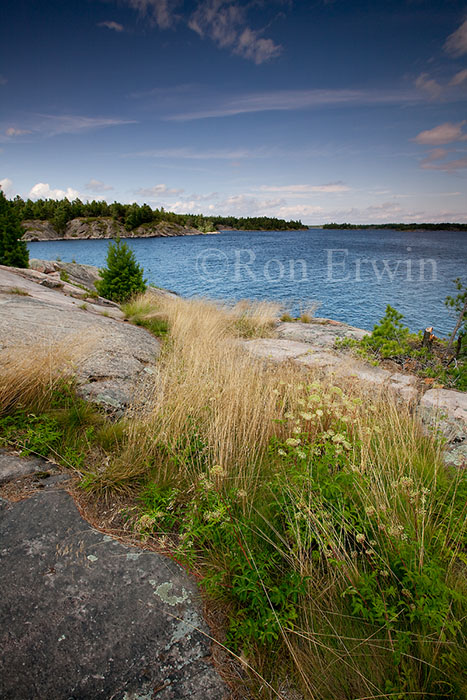 The French River