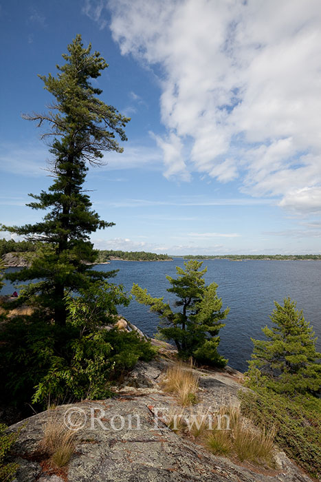 The French River