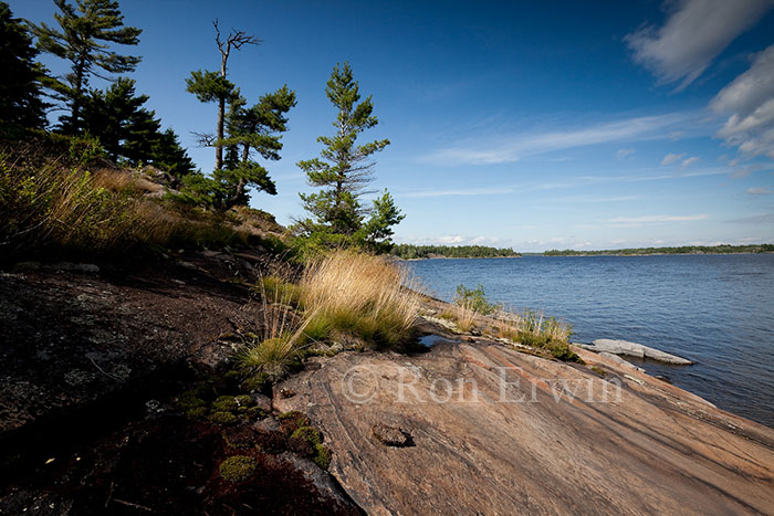 The French River
