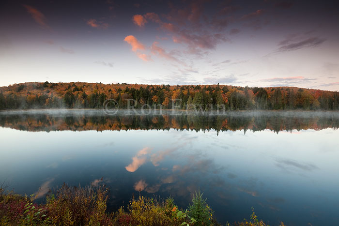 Autumn in Algonquin