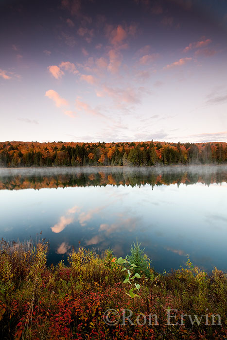 Autumn in Algonquin