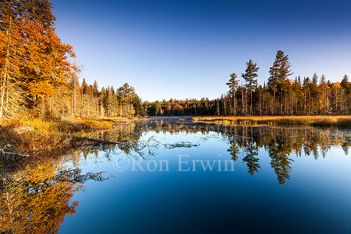 Algonquin Ontario Wetlands