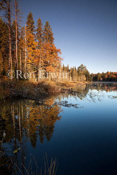 Algonquin Wetlands