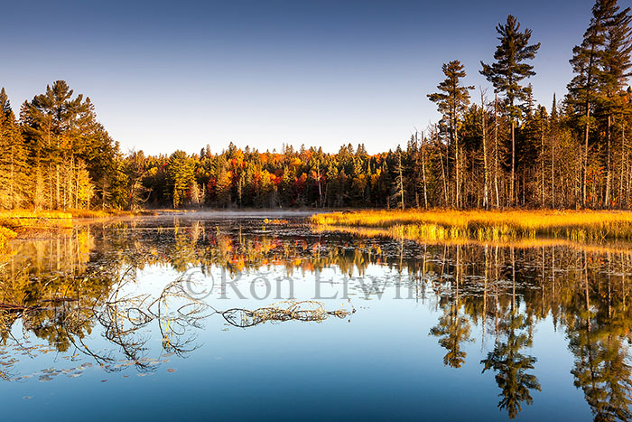 Algonquin Ontario Wetlands