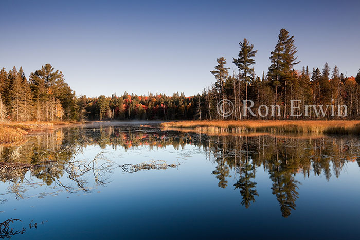 Algonquin Wetlands