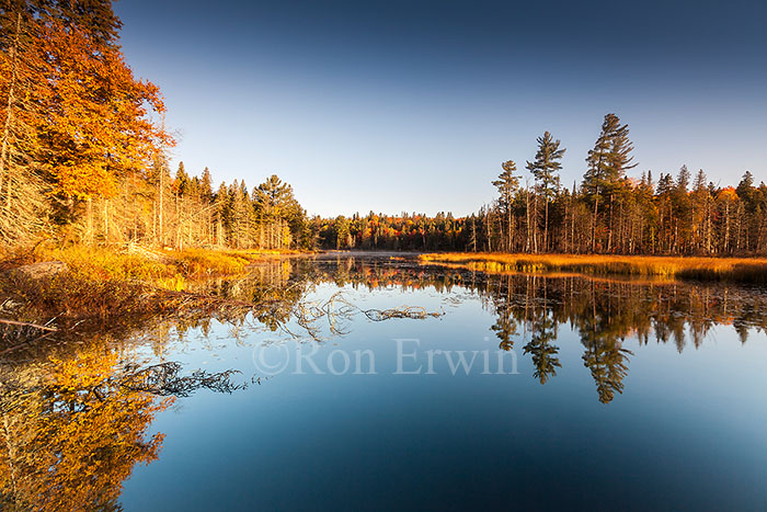 Algonquin Ontario Wetlands