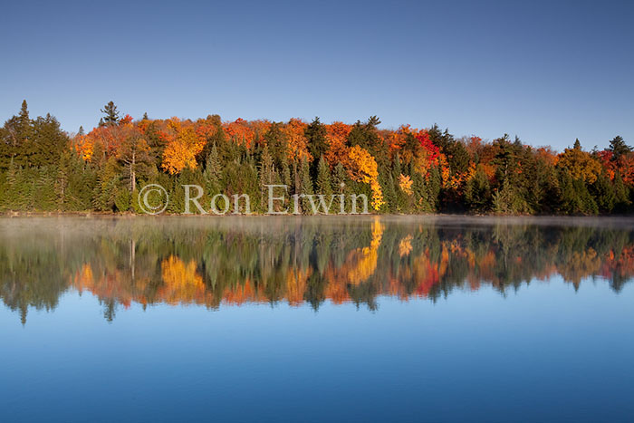 Smoke Creek in Autumn, ON