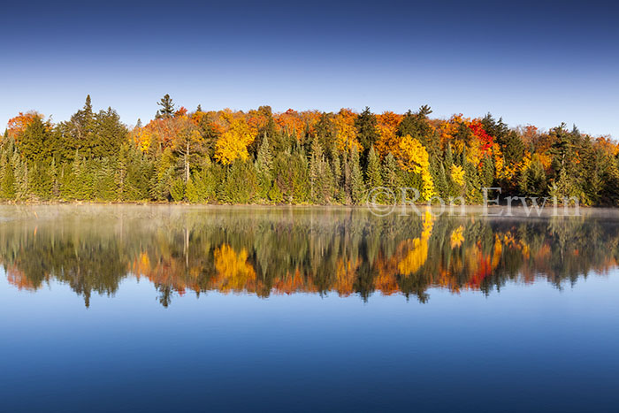 Smoke Creek in Autumn, ON