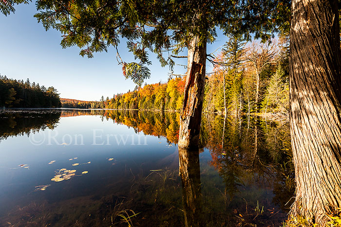 Autumn in Algonquin, ON