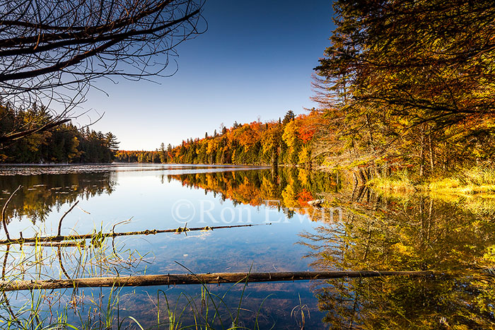 Autumn in Algonquin, ON