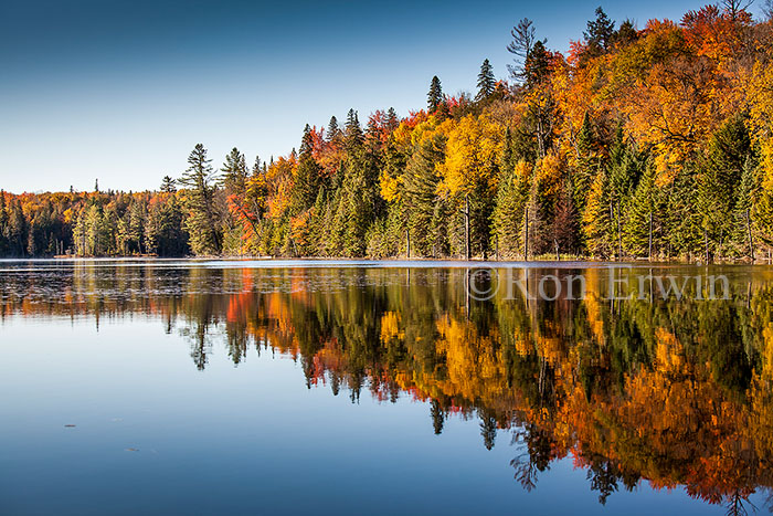 Autumn in Algonquin, ON