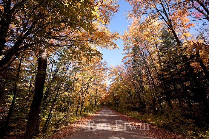 Source Lake Road