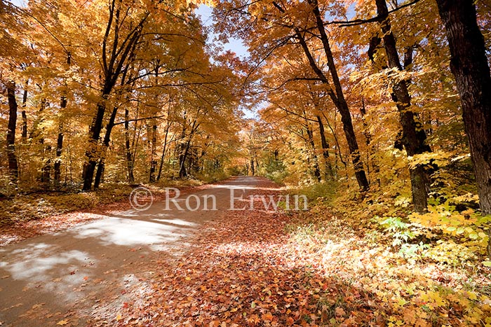 Source Lake Road