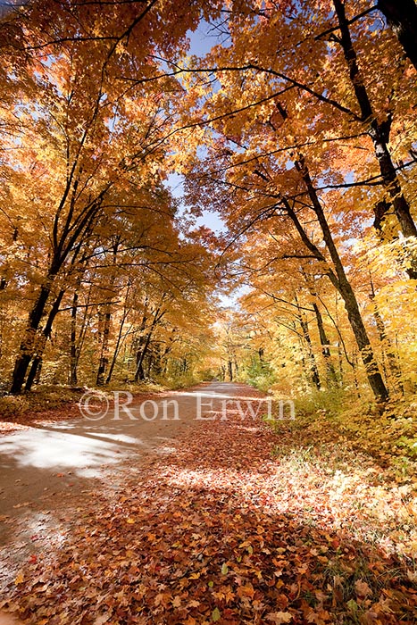 Source Lake Road