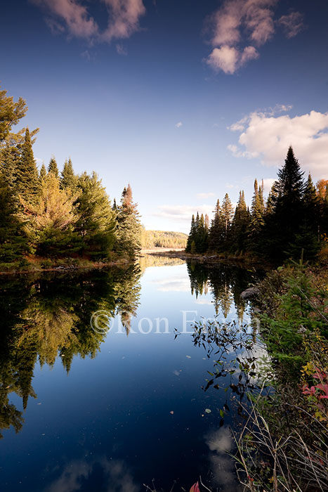 Costello Creek Autumn