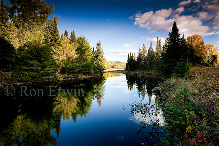 Costello Creek Autumn