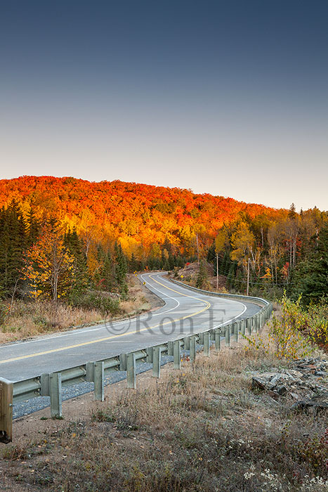 Autumn in Algonquin Park, ON