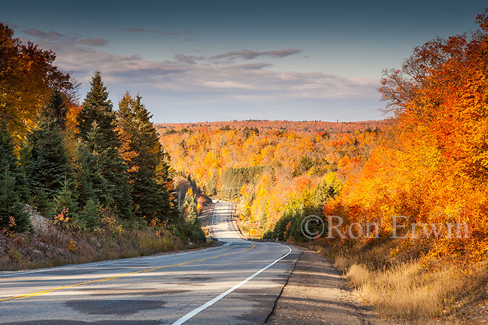 Autumn in Algonquin Park