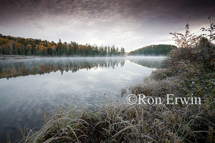Costello Creek Autumn