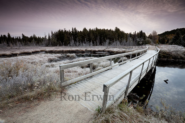 Spruce Bog Trail, Algonquin