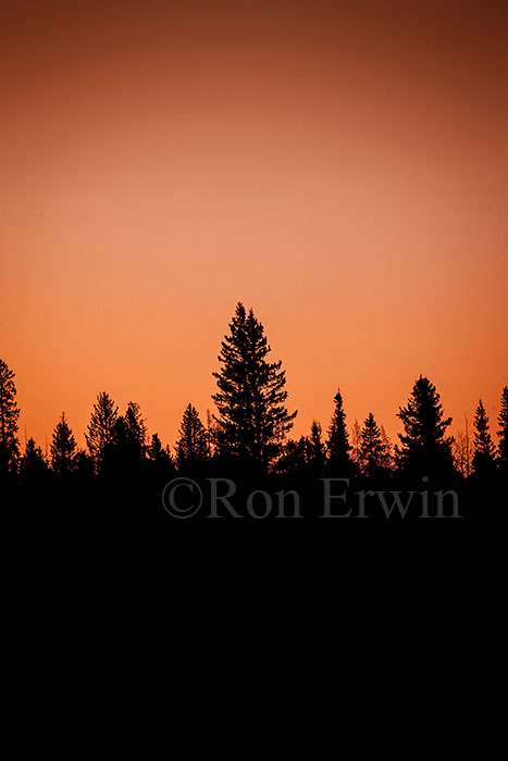 Riding Mountain MB Sunset