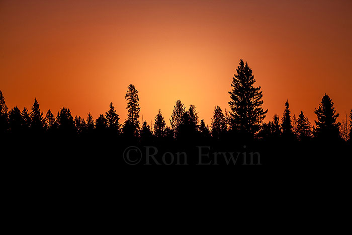 Riding Mountain MB Sunset
