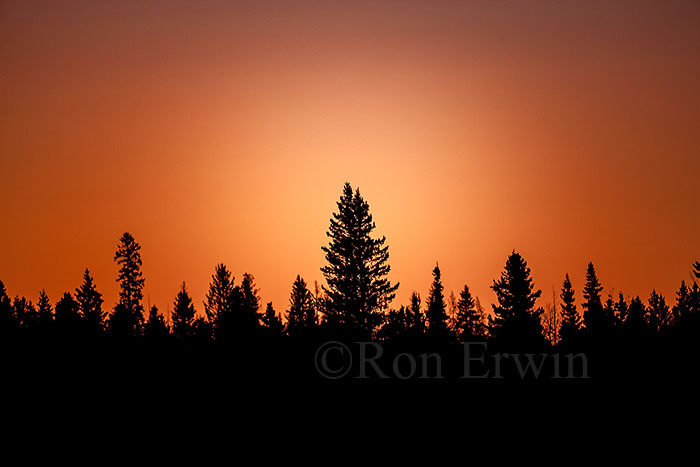 Riding Mountain MB Sunset